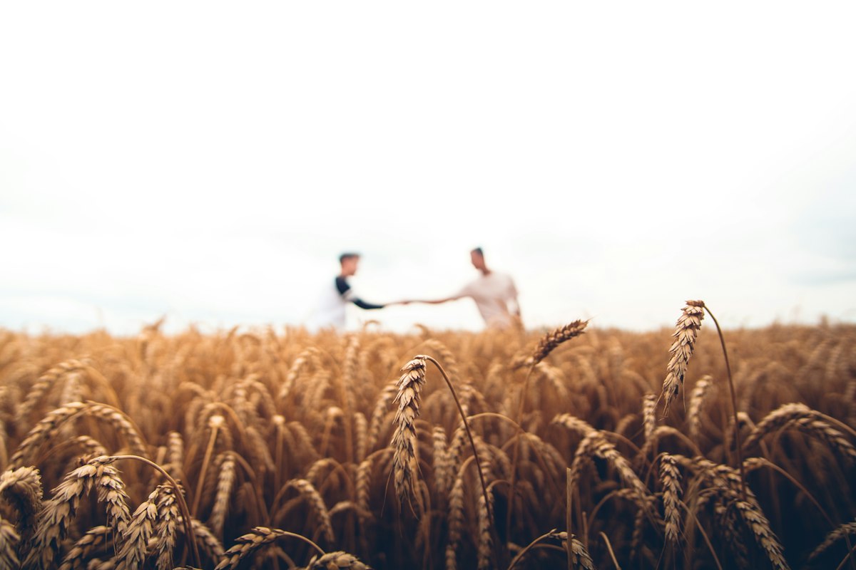 50 Years Agricultural Heritage Farmland